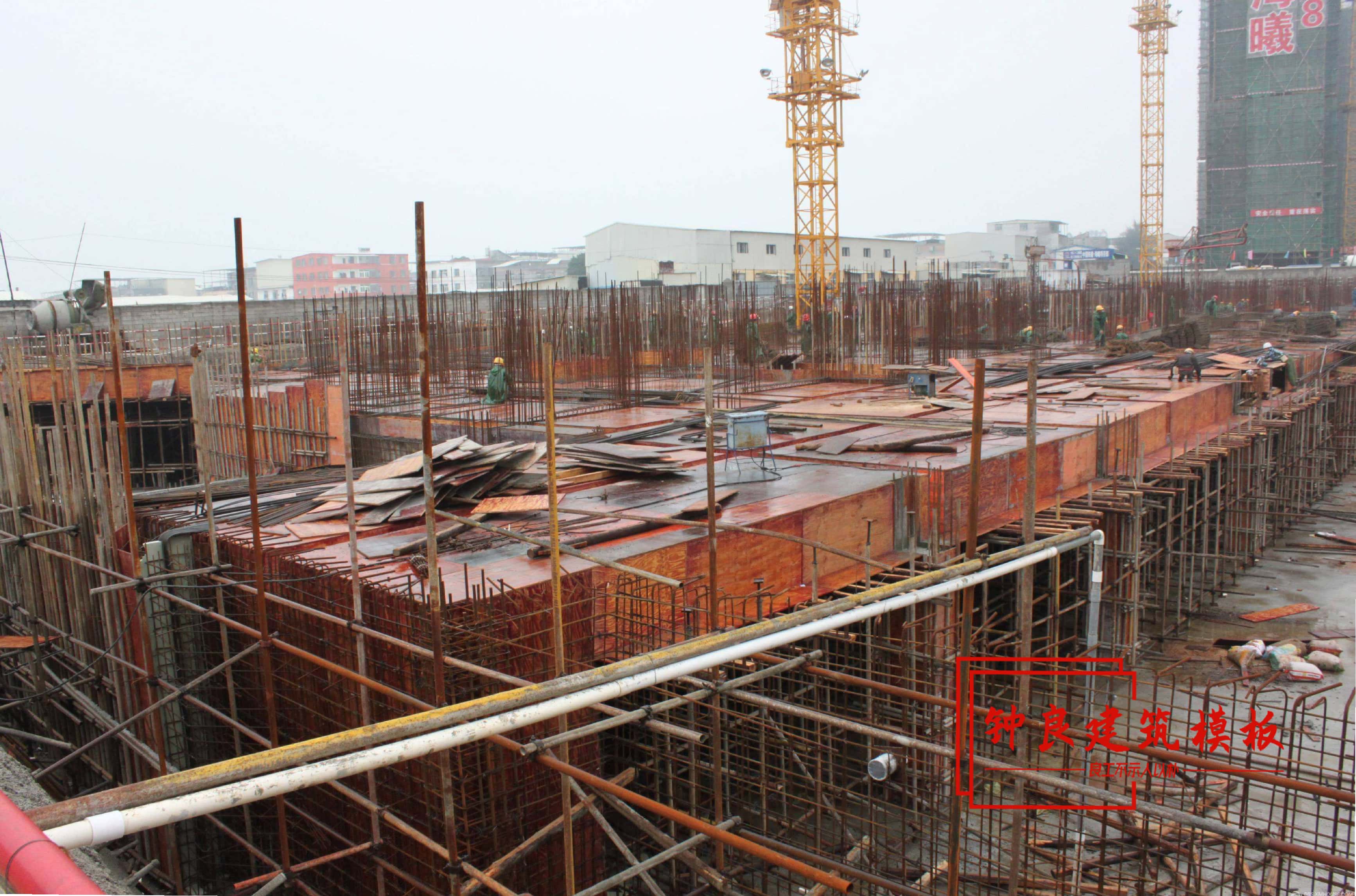 广州中建项目胶合板案例